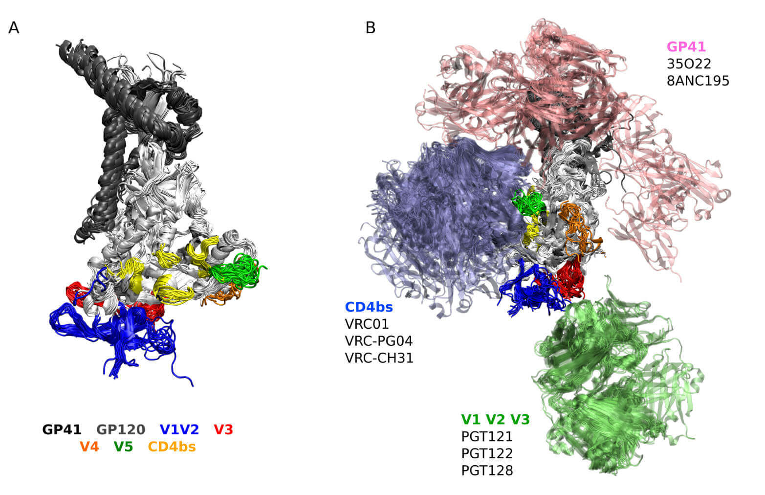 Design of immunogens to elicit broadly neutralizing antibodies against HIV targeting the CD4 binding site
