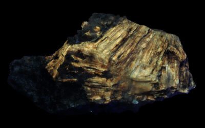 SC1210 – Sorensenite from the Ilímaussaq complex, Greenland